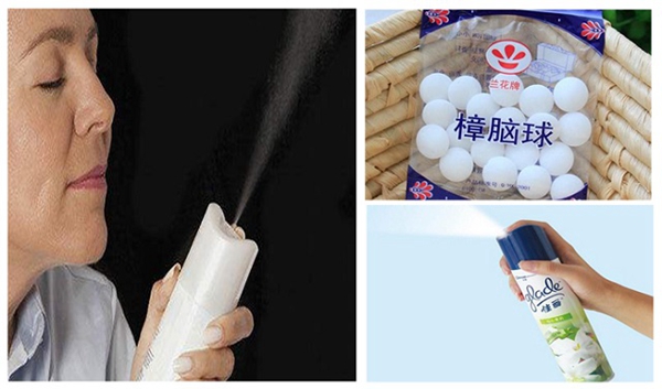 鄰居羨慕我家新房空氣清新，偷偷告訴你都是它的功勞