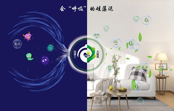鄰居羨慕我家新房空氣清新，偷偷告訴你都是它的功勞