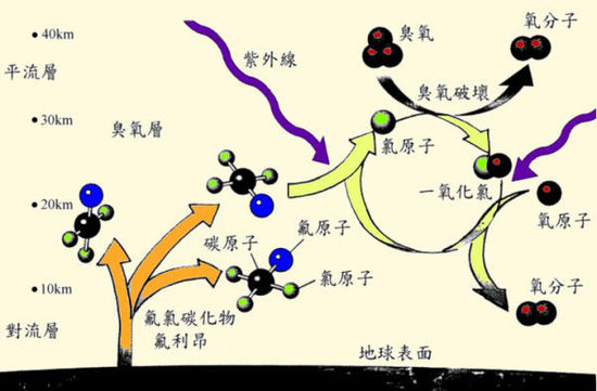 古代人如何保鮮食物?談?wù)劚浒l(fā)展史7