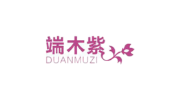 深圳市五丈原電子商務(wù)有限公司