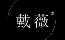汕頭市萊雅內(nèi)衣輔料有限公司