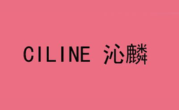 上海沁麟電子科技有限公司