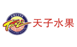 浙江天子股份有限公司